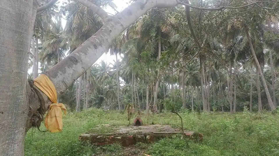 Arulmigu Madaiyadi Karuppannaswamy Temple, Sathirapatti - 624614