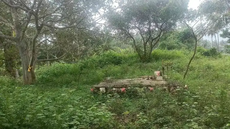 Arulmigu Madaiyadi Karuppannaswamy Temple, Sathirapatti - 624614 அருள்மிகு மடையடி கருப்பனசாமி திருக்கோயில், Sathirapatti - 624614, Dindigul - Ancient Temple Architecture and History Image 7