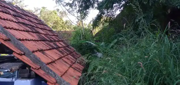 Arulmigu Madandevadhai Temple, Near Ramalekshmi Matriculation School, Thovalai - 629302