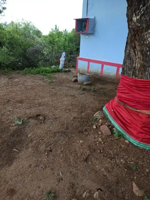 Arulmigu Madasamy Temple, Sankarankoil Main Road, Thalavoipuram - 627114