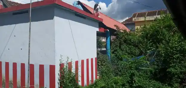 Arulmigu Madatthiamman Temple, Melavilankadu, Boothapandi - 629852 அருள்மிகு மாடத்தியம்மன் திருக்கோயில், Melavilankadu, Boothapandi - 629852, Kanyakumari - Ancient Temple Architecture and History Image 2