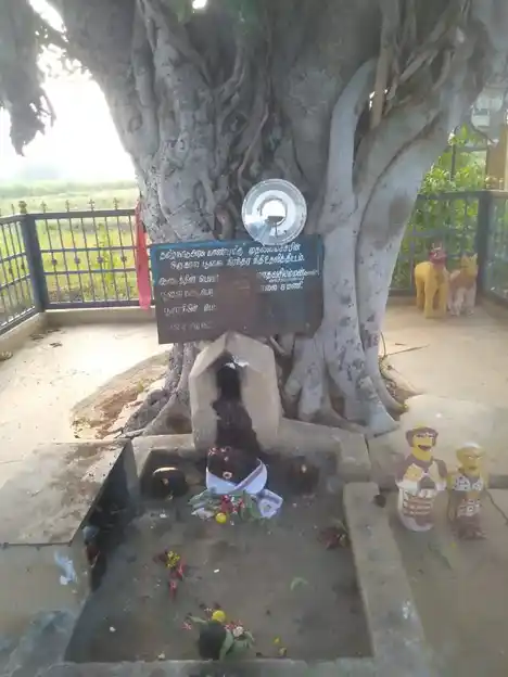 Arulmigu Madesiamman Temple, Aluthipalayam - 638104 அருள்மிகு மாதேசியம்மன் திருக்கோயில், Aluthipalayam - 638104, Erode - Ancient Temple Architecture and History Image 2