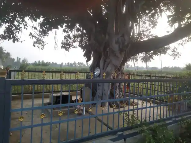 Arulmigu Madesiamman Temple, Aluthipalayam - 638104 அருள்மிகு மாதேசியம்மன் திருக்கோயில், Aluthipalayam - 638104, Erode - Ancient Temple Architecture and History Image 3