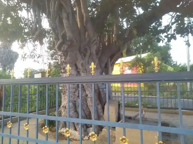 Arulmigu Madesiamman Temple, Aluthipalayam - 638104 அருள்மிகு மாதேசியம்மன் திருக்கோயில், Aluthipalayam - 638104, Erode - Ancient Temple Architecture and History Image 4