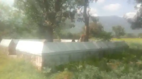 Arulmigu Madhurai Veerasamy Temple, Alagapuri - 621010 Arulmigu Madhurai Veerasamy Temple, Alagapuri - 621010, Thiruchirappalli - Ancient Temple Architecture and History Image 4