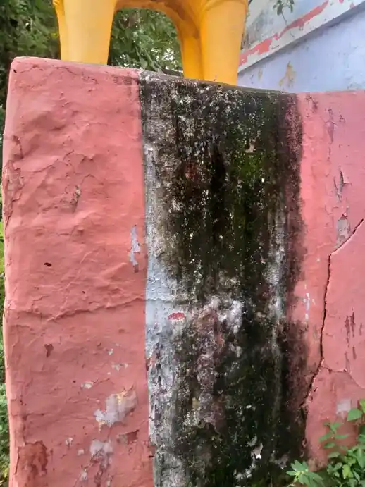 Arulmigu Madhuraiveeraswamy Temple, Palaviduthi - 621311 அருள்மிகு மதுரை வீரசாமி திருக்கோயில், Palaviduthi - 621311, Karur - Ancient Temple Architecture and History Image 2