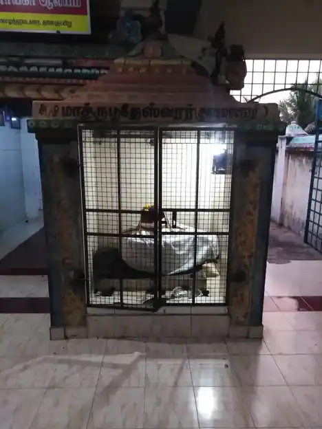 Arulmigu Madhuruputhaeswarar Temple, Thalainayuru - 609201 அருள்மிகு மாத்ருபூதேஸ்வரர் திருக்கோயில், Thalainayuru - 609201, Nagapattinam - Ancient Temple Architecture and History Image 3