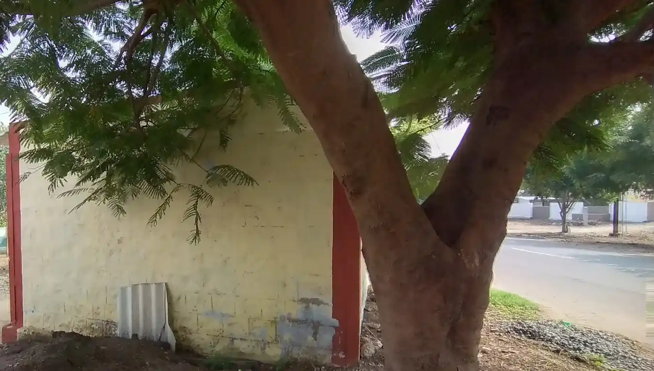 Arulmigu Madurai Veeran Temple, Kuruincheri - 642126 அருள்மிகு மதுரைவீரன் திருக்கோயில், Kuruincheri - 642126, Tiruppur - Ancient Temple Architecture and History Image 4