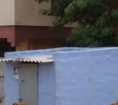 Arulmigu Madurai Veeran Temple, Periyavalavadi - 642132 அருள்மிகு மதுரைவீரன் திருக்கோயில், Periyavalavadi - 642132, Tiruppur - Ancient Temple Architecture and History Image 2