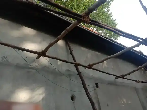 Arulmigu Maduraikaliamman Temple, Poovanikkuppam - 607302 அருள்மிகு மதுரை காளியம்மன் திருக்கோயில், Poovanikkuppam - 607302, Cuddalore - Ancient Temple Architecture and History Image 4