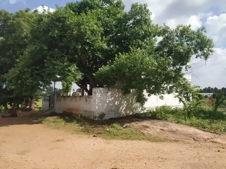 Arulmigu Maduraiveeran Temple, Karumandampalayam - 638154 அருள்மிகு மதுரைவீரன் திருக்கோயில், Karumandampalayam - 638154, Erode - Ancient Temple Architecture and History Image 6