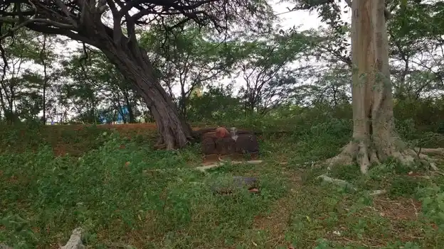 Arulmigu Maduraiveeran Temple, Maatthur - 622515