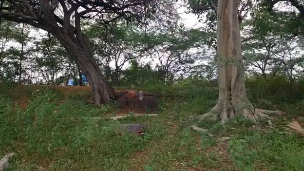 Arulmigu Maduraiveeran Temple, Maatthur - 622515 அருள்மிகு மதுரைவீரன் திருக்கோயில், Maatthur - 622515, Pudukkottai - Ancient Temple Architecture and History Image 2