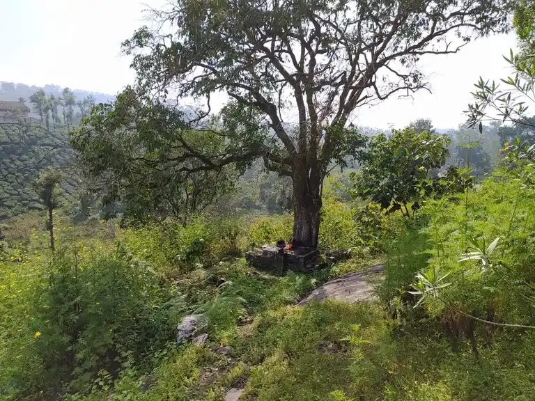 Arulmigu Maduraiveeran Temple, Paraimedu - 642127 அருள்மிகு மதுரைவீரன் திருக்கோயில், பாறைமேடு - 642127, Coimbatore - Ancient Temple Architecture and History Image 13