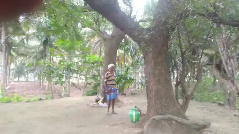 Arulmigu Maduraiveeran Temple, Singgarampalayam - 642109