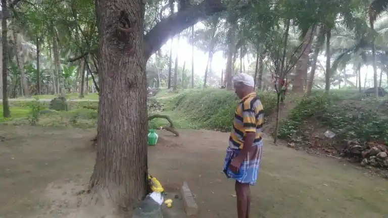 Arulmigu Maduraiveeran Temple, Singgarampalayam - 642109 அருள்மிகு மதுரைவீரன் திருக்கோயில், Singgarampalayam - 642109, Coimbatore - Ancient Temple Architecture and History Image 5