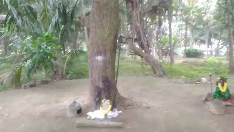 Arulmigu Maduraiveeran Temple, Singgarampalayam - 642109 அருள்மிகு மதுரைவீரன் திருக்கோயில், Singgarampalayam - 642109, Coimbatore - Ancient Temple Architecture and History Image 6