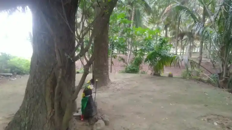 Arulmigu Maduraiveeran Temple, Singgarampalayam - 642109 அருள்மிகு மதுரைவீரன் திருக்கோயில், Singgarampalayam - 642109, Coimbatore - Ancient Temple Architecture and History Image 7