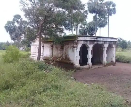 Arulmigu Mafhangiamman Temple, Nadupuni, Savarkaranpalayam - 642005 அருள்மிகு மாதங்கியம்மன் திருக்கோயில், சோ்வகாரன்பாளையம், பாெள்ளாச்சி வட்டம், நடுப்புணி, சோ்வகாரன்பாளையம் - 642005, Coimbatore - Ancient Temple Architecture and History Image 2