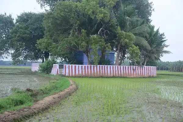 Arulmigu Magajana Nangaiamman Temple, Palavoor - 627114 அருள்மிகு மகாஜன நங்கையம்மன் திருக்கோயில், Palavoor - 627114, Tirunelveli - Ancient Temple Architecture and History Image 2