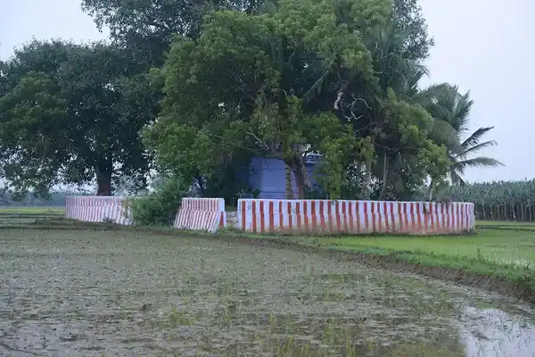 Arulmigu Magajana Nangaiamman Temple, Palavoor - 627114 அருள்மிகு மகாஜன நங்கையம்மன் திருக்கோயில், Palavoor - 627114, Tirunelveli - Ancient Temple Architecture and History Image 3