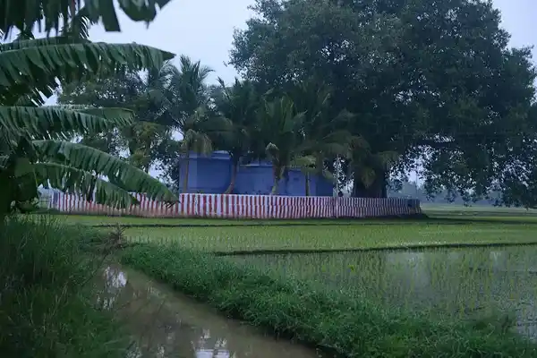 Arulmigu Magajana Nangaiamman Temple, Palavoor - 627114 அருள்மிகு மகாஜன நங்கையம்மன் திருக்கோயில், Palavoor - 627114, Tirunelveli - Ancient Temple Architecture and History Image 4