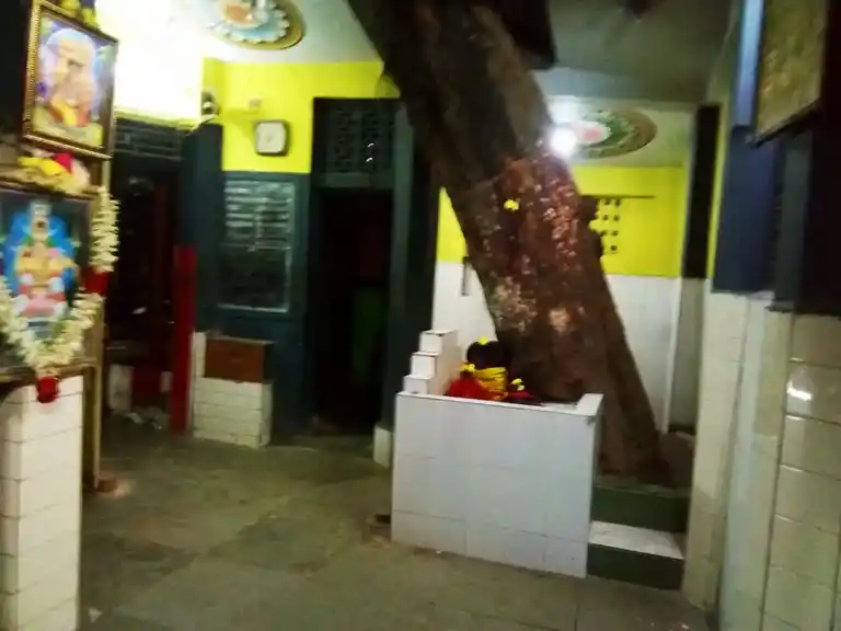 Arulmigu Magamayee Ellaiamman Temple, Villivakkam, Chennai - 600049 அருள்மிகு மகமாயி எல்லையம்மன் திருக்கோயில், வில்லிவாக்கம், சென்னை - 600049, Chennai - Ancient Temple Architecture and History Image 3