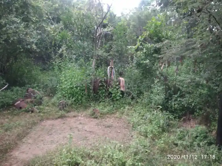 Arulmigu Magilampatti Karupaswamy Temple, Piranpatti - 621305 Arulmigu Magilampatti Karupaswamy Temple, Piranpatti - 621305, Thiruchirappalli - Ancient Temple Architecture and History Image 2