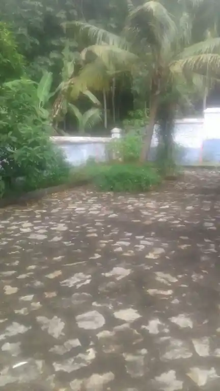 Arulmigu Mahadevar Temple, Thirpilamkadu, Villvancode - 629167 Arulmigu Mahadevar Temple, Thirpilamkadu, வில்வன்கோடு - 629167, Kanyakumari - Ancient Temple Architecture and History Image 5