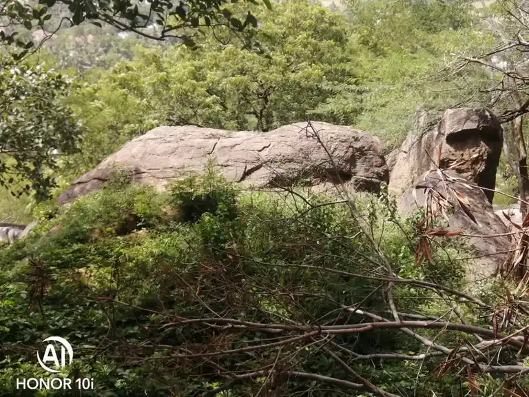 Arulmigu Mahadevar Temple, Vanniyoormalai, Malaiyadi - 629170 Arulmigu Mahadevar Temple, Vanniyoormalai, மலையடி - 629170, Kanyakumari - Ancient Temple Architecture and History Image 3