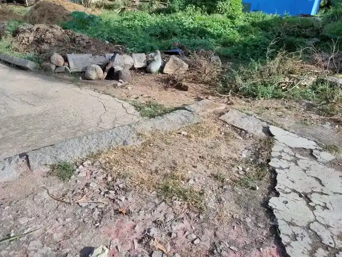 Arulmigu Mahadeveswarar Temple, Ponnai - 632514 அருள்மிகு மகாதேவஈஸ்வரர் திருக்கோயில், பொன்னை - 632514, Vellore - Ancient Temple Architecture and History Image 7