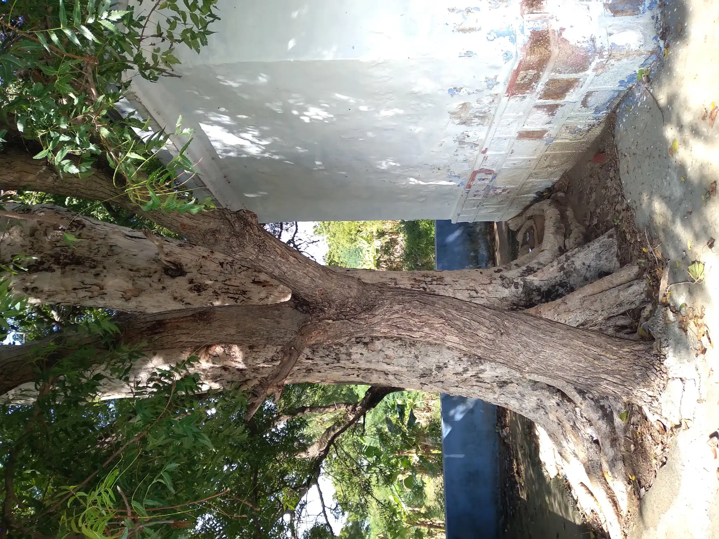 Arulmigu Mahaganpathi Temple, -, Agaram - 627869 அருள்மிகு மகா கணபதி திருக்கோயில், -, Agaram - 627869, Tenkasi - Ancient Temple Architecture and History Image 4