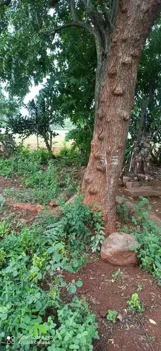 Arulmigu Mahakaliyamman Temple, Theathur, Alampatti - 621311 Arulmigu Mahakaliyamman Temple, , - 621311, Thiruchirappalli - Ancient Temple Architecture and History Image 4