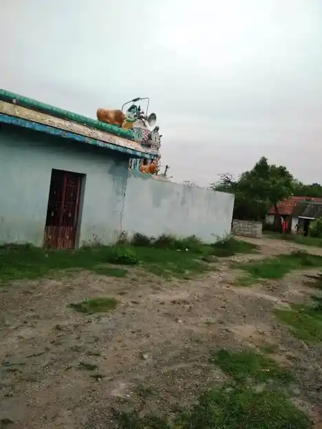 Arulmigu Mahakalliamman Temple, Gopalapuram - 606003 அருள்மிகு மகாகாளியம்மன் திருக்கோயில், Gopalapuram - 606003, Cuddalore - Ancient Temple Architecture and History Image 2