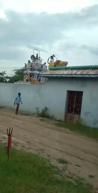 Arulmigu Mahakalliamman Temple, Gopalapuram - 606003 அருள்மிகு மகாகாளியம்மன் திருக்கோயில், Gopalapuram - 606003, Cuddalore - Ancient Temple Architecture and History Image 4