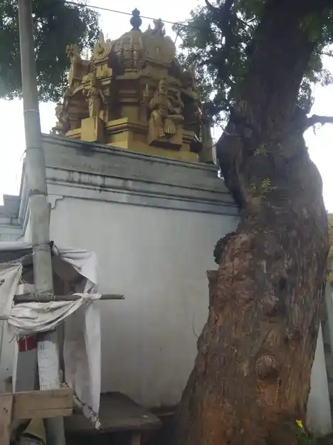 Arulmigu Mahaliamman Temple, P.N. Palayam - 641037 அருள்மிகு மாகாளியம்மன் திருக்கோயில், பி.ன். பாளையம் - 641037, Coimbatore - Ancient Temple Architecture and History Image 7