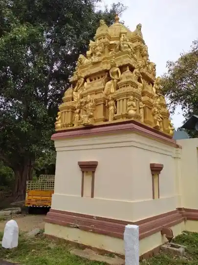 Arulmigu Mahaliamman Temple, Panaimarathupalayam - 642107 அருள்மிகு மாகாளியம்மன் திருக்கோயில், பனைமரத்துப்பாளையம் - 642107, Coimbatore - Ancient Temple Architecture and History Image 2