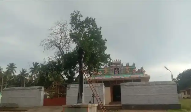 Arulmigu Mahaliamman Temple, Rasakkapalayam, Pollachi - 642002 அருள்மிகு &nbsp; மாகாளியம்மன் &nbsp;திருக்கோயில்&nbsp;, Rasakkapalayam, Pollachi - 642002, Coimbatore - Ancient Temple Architecture and History Image 2