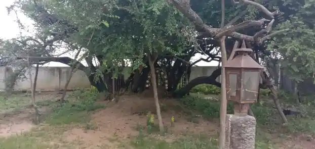 Arulmigu Mahalingasamy Temple, Palankulam - 623608 அருள்மிகு மகாலிங்கசாமி திருக்கோயில், Palankulam - 623608, Ramanathapuram - Ancient Temple Architecture and History Image 3