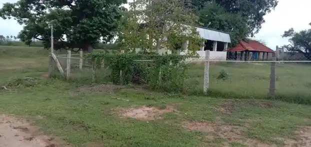 Arulmigu Mahalingasamy Temple, Palankulam - 623608 அருள்மிகு மகாலிங்கசாமி திருக்கோயில், Palankulam - 623608, Ramanathapuram - Ancient Temple Architecture and History Image 4