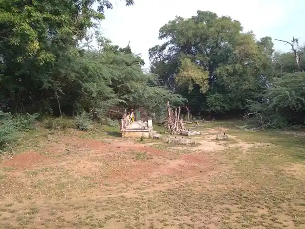 Arulmigu Mahalingaswamy Temple, Kannamangalam - 614626 Temple