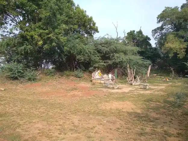 Arulmigu Mahalingaswamy Temple, Kannamangalam - 614626 அருள்மிகு மகாலிங்கசாமி திருக்கோயில், Kannamangalam - 614626, Pudukkottai - Ancient Temple Architecture and History Image 4