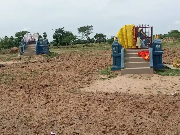 Arulmigu Mahalingeswarar Temple, Theeyur - 614626 அருள்மிகு மகாலிங்கேஸ்வரர் திருக்கோயில், தீயூர், ஆவுடையார்கோவில் வட்டம் - 614626, Pudukkottai - Ancient Temple Architecture and History Image 2