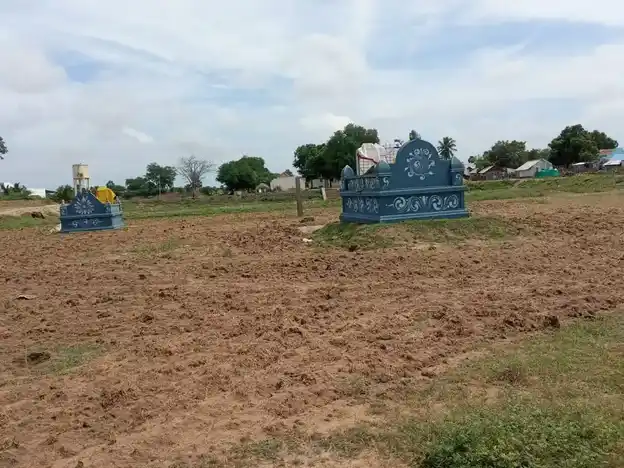 Arulmigu Mahalingeswarar Temple, Theeyur - 614626 அருள்மிகு மகாலிங்கேஸ்வரர் திருக்கோயில், தீயூர், ஆவுடையார்கோவில் வட்டம் - 614626, Pudukkottai - Ancient Temple Architecture and History Image 3