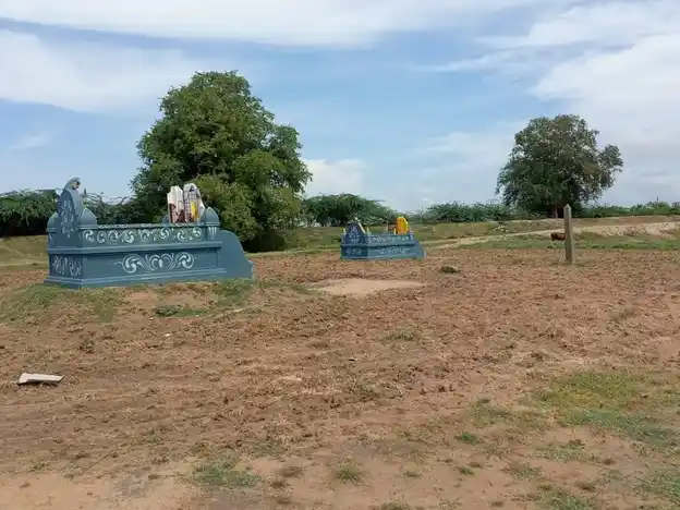 Arulmigu Mahalingeswarar Temple, Theeyur - 614626 அருள்மிகு மகாலிங்கேஸ்வரர் திருக்கோயில், தீயூர், ஆவுடையார்கோவில் வட்டம் - 614626, Pudukkottai - Ancient Temple Architecture and History Image 4