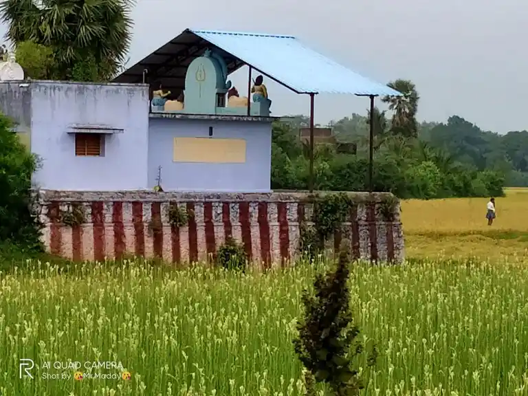 Arulmigu Mahatha Boothathan Temple, Shenkottai - 627809 Arulmigu Mahatha Boothathan Temple, Shenkottai - 627809, Tenkasi - Ancient Temple Architecture and History Image 4