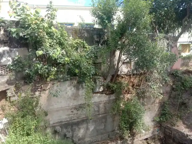 Arulmigu Mahaveerabathira Kaliamman Temple, Vengalapuram - 635653 அருள்மிகு மகாவீரபத்திரகாளியம்மன் திருக்கோயில், வெங்களாபுரம் - 635653, Thirupathur - Ancient Temple Architecture and History Image 4