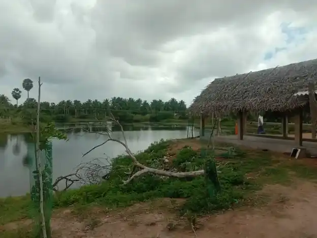 Arulmigu Mahilavaneshwarar Temple, Tokkalikkadu - 614701