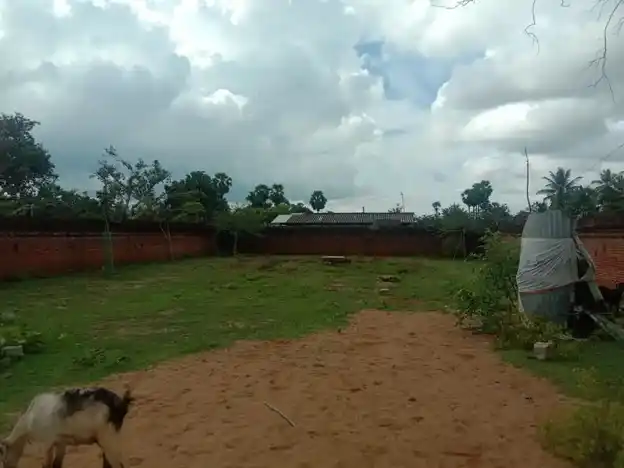 Arulmigu Mahilavaneshwarar Temple, Tokkalikkadu - 614701 அருள்மிகு மகிழவனேஸ்வரர் சுவாமி திருக்கோயில், Tokkalikkadu - 614701, Thanjavur - Ancient Temple Architecture and History Image 4