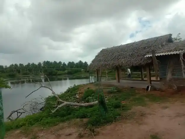 Arulmigu Mahilavaneshwarar Temple, Tokkalikkadu - 614701 அருள்மிகு மகிழவனேஸ்வரர் சுவாமி திருக்கோயில், Tokkalikkadu - 614701, Thanjavur - Ancient Temple Architecture and History Image 5